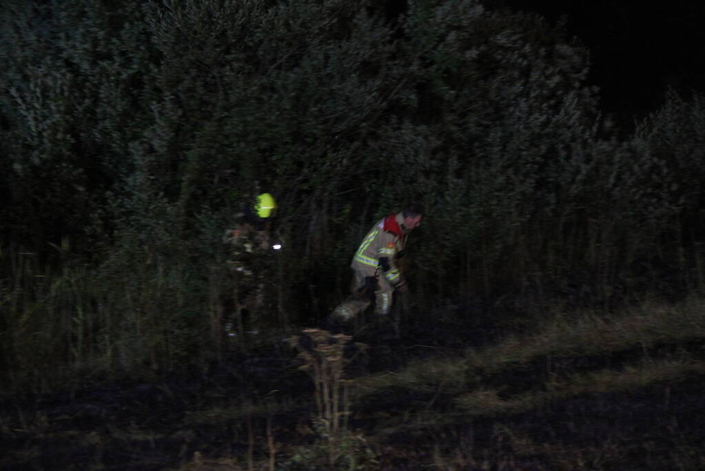 Flink stuk riet verbrand