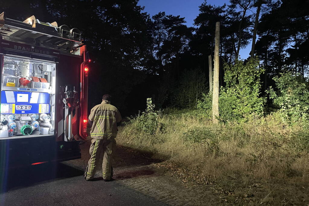 Brandweer blust kleine brand in bos