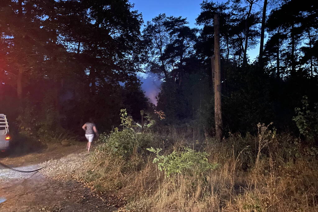 Brandweer blust kleine brand in bos