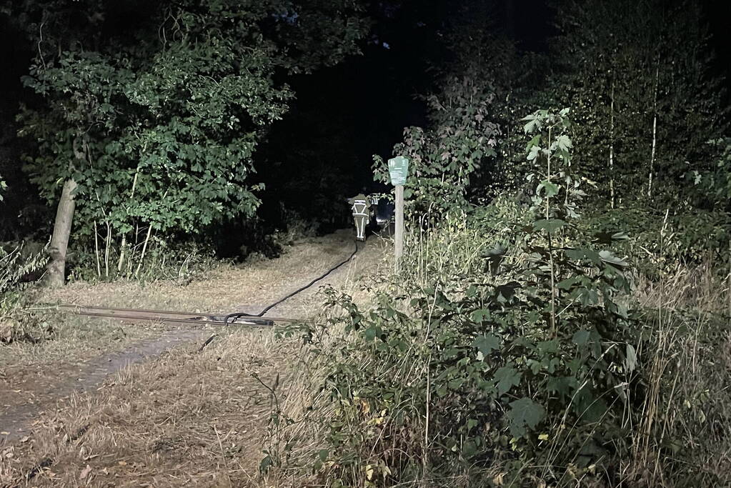 Brandweer blust kleine brand in bos