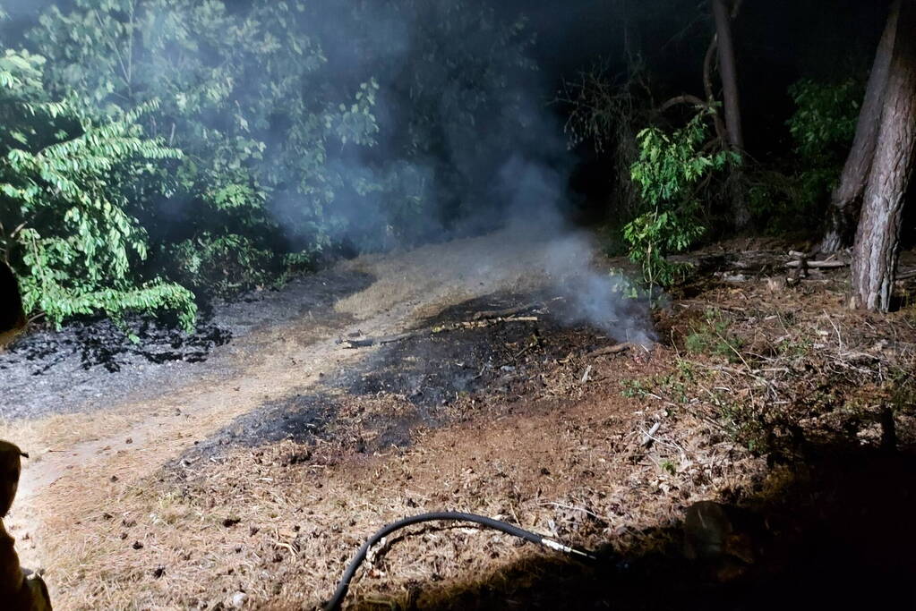 Brandweer blust kleine brand in bos