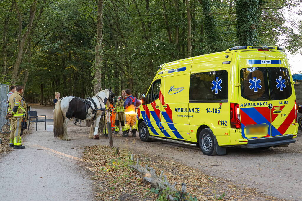 Ruiter gewond na op hol geslagen paard