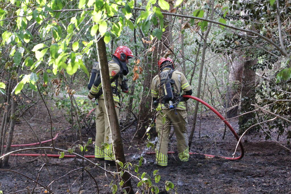 Natuurbrand snel onder controle