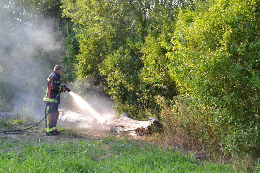 Flinke rookontwikkeling bij boomstam in brand