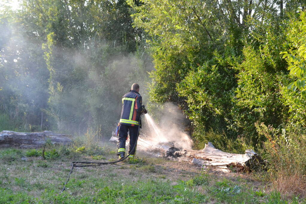 Flinke rookontwikkeling bij boomstam in brand