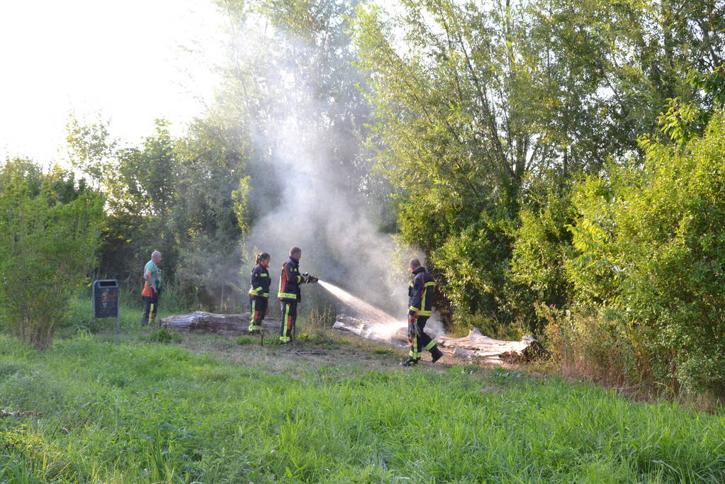 Flinke rookontwikkeling bij boomstam in brand