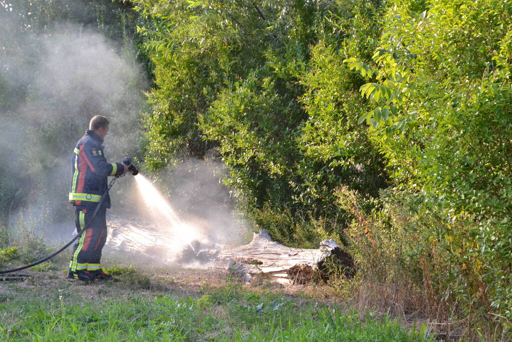Flinke rookontwikkeling bij boomstam in brand