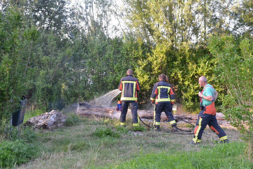Flinke rookontwikkeling bij boomstam in brand