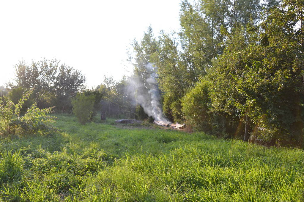 Flinke rookontwikkeling bij boomstam in brand
