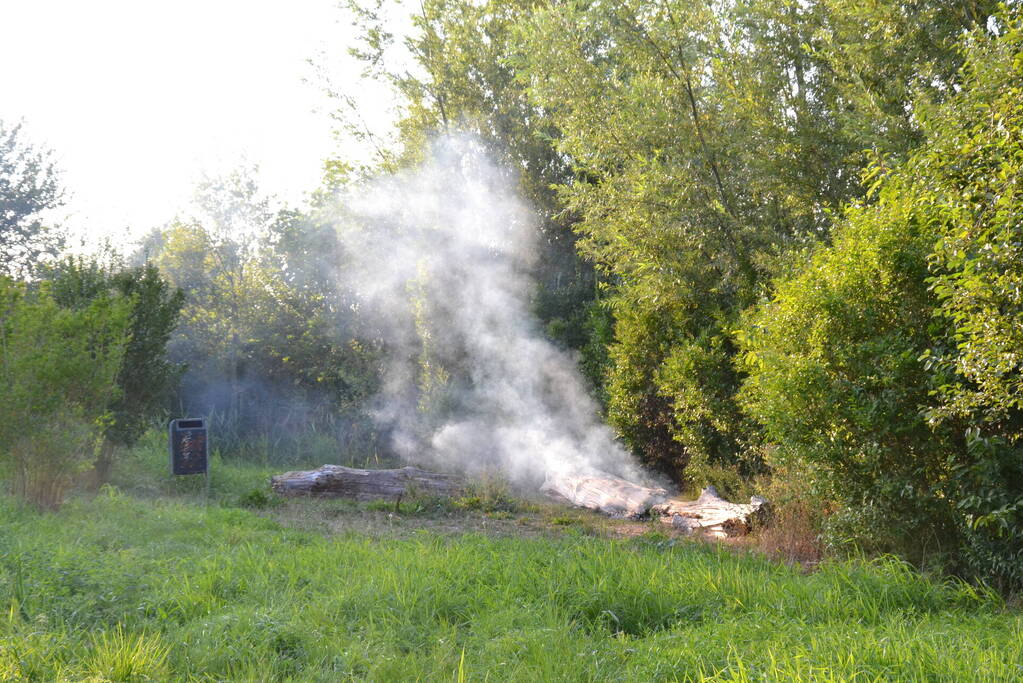 Flinke rookontwikkeling bij boomstam in brand
