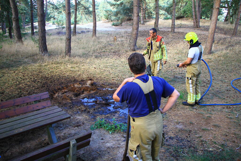 Brandweer ingezet voor stookvuur in bos