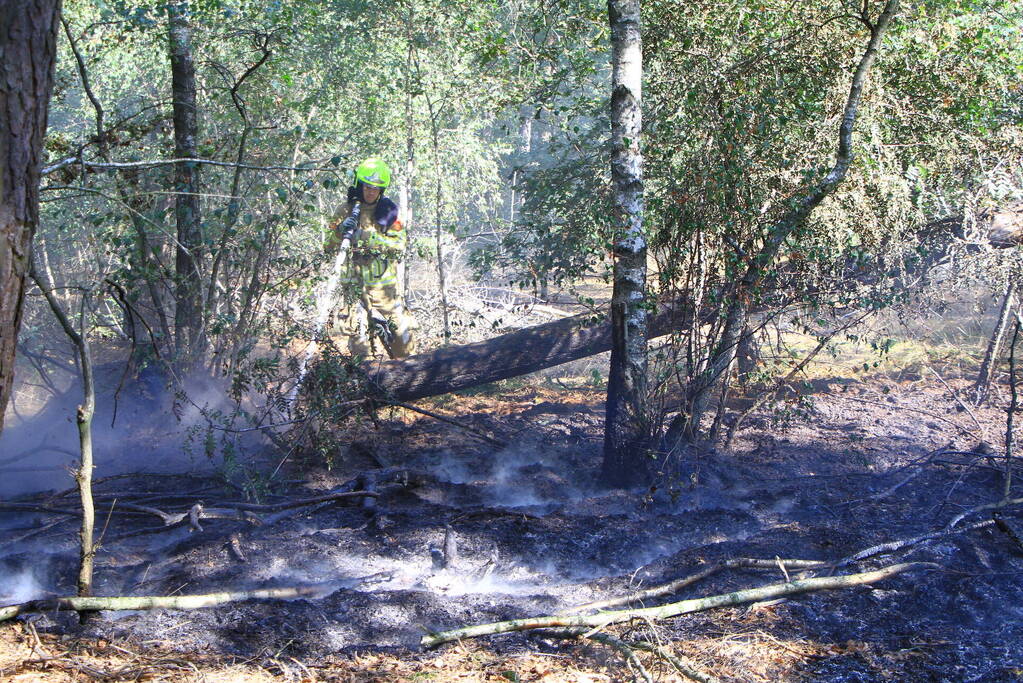 Politiehelikopter ontdekt beginnende bosbrand