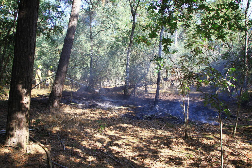 Politiehelikopter ontdekt beginnende bosbrand