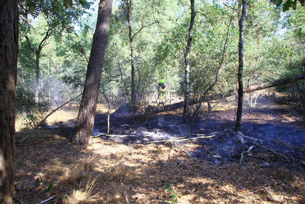 Politiehelikopter ontdekt beginnende bosbrand