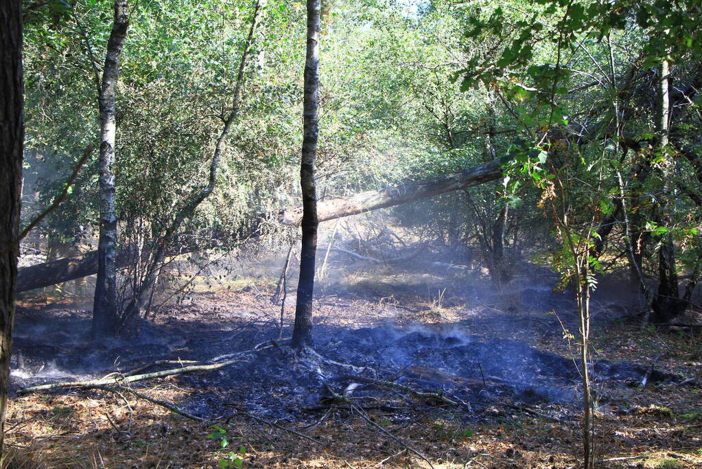 Politiehelikopter ontdekt beginnende bosbrand