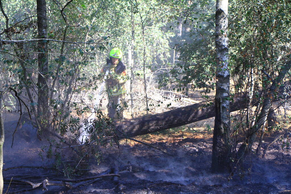 Politiehelikopter ontdekt beginnende bosbrand