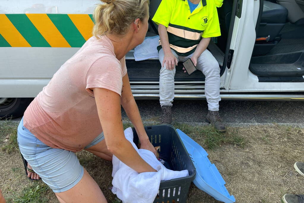 Buurtbewoonster redt kat Charlie uit sloot