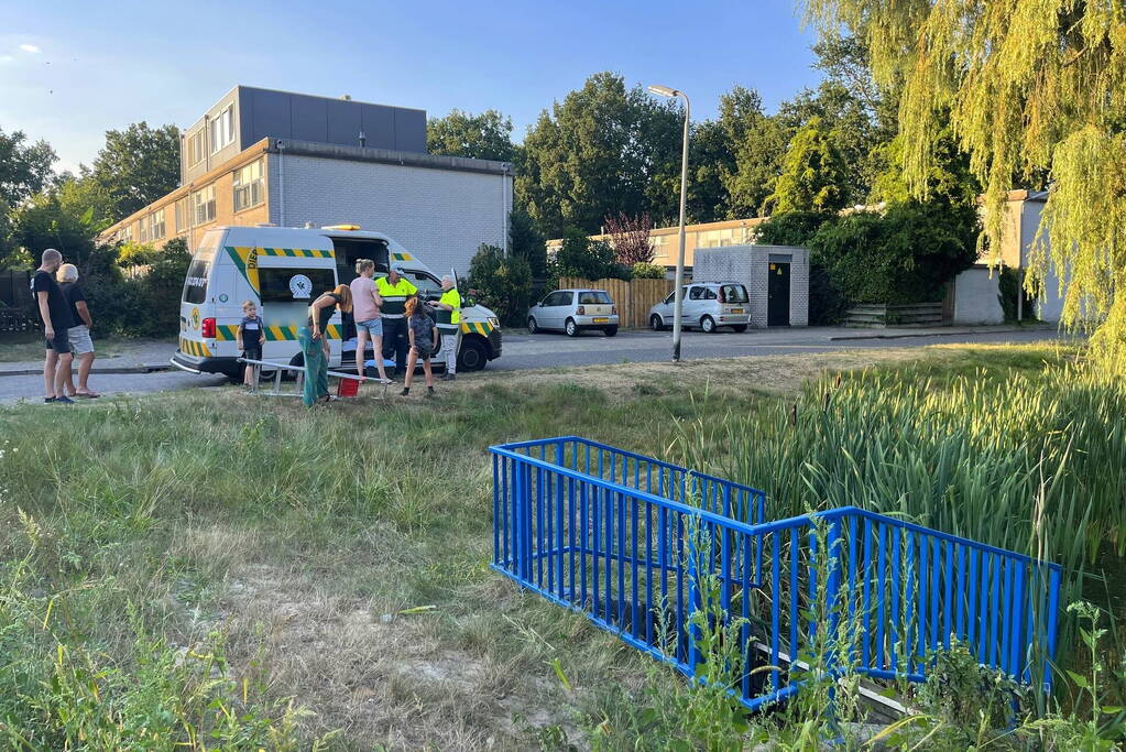 Buurtbewoonster redt kat Charlie uit sloot