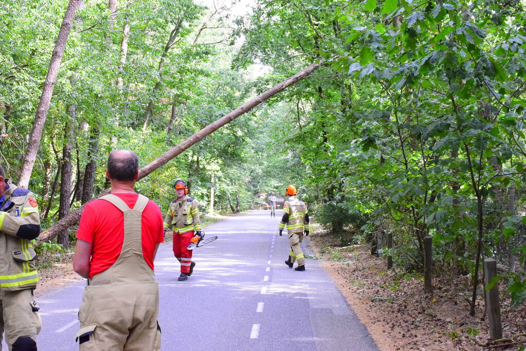 Weg kort afgesloten door omgevallen boom