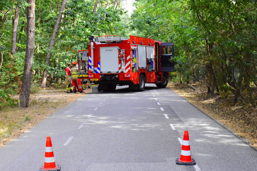 Weg kort afgesloten door omgevallen boom