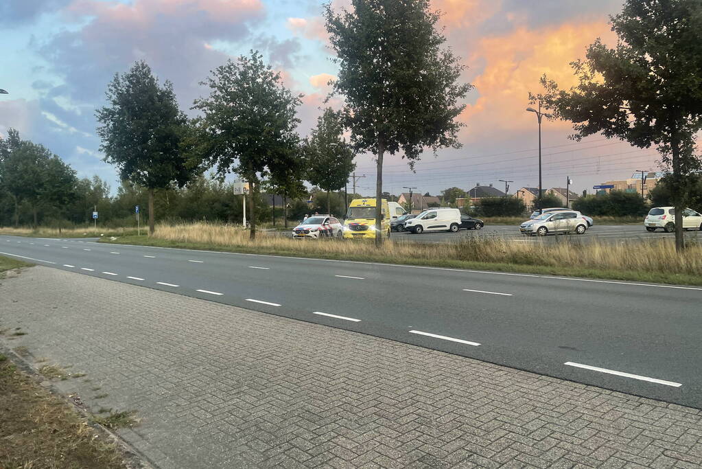 Automobilist rijdt in op verkeersregelaar