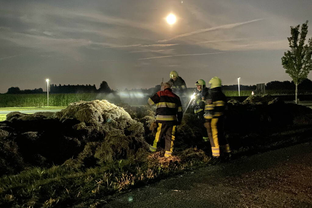 Broei in berg gemaaid gras