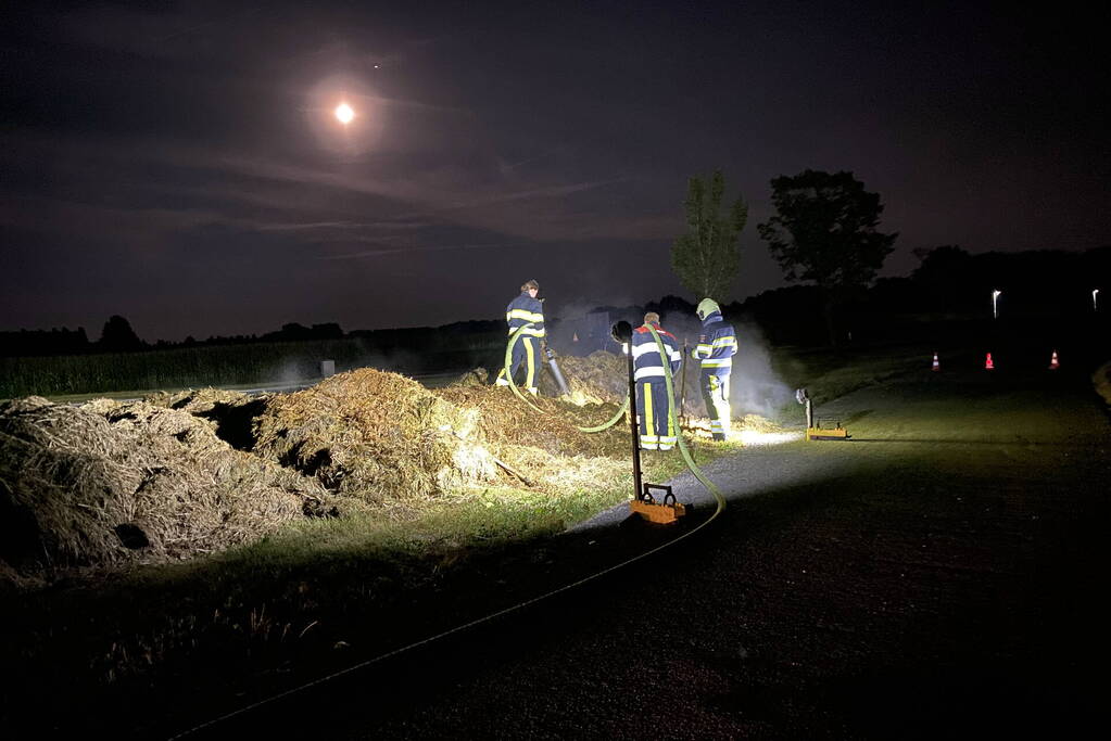 Broei in berg gemaaid gras