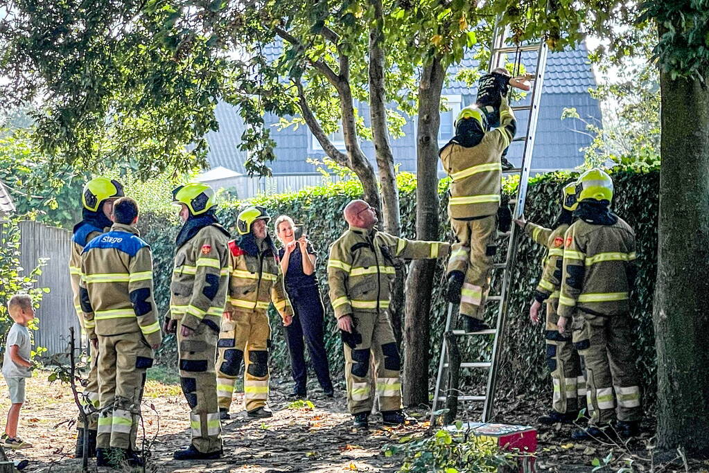 Kinderen vast in boom, brandweer schiet te hulp