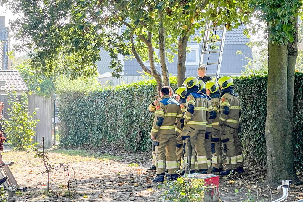 Kinderen vast in boom, brandweer schiet te hulp