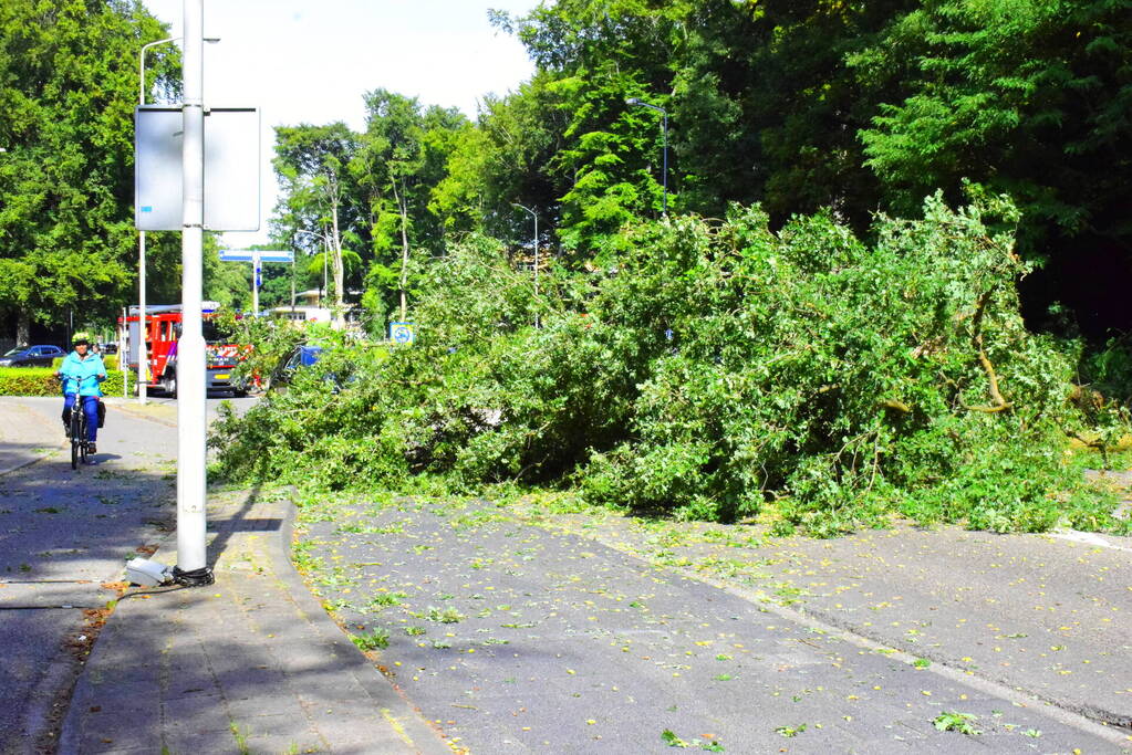 Auto flinke beschadigd door omgevallen boom