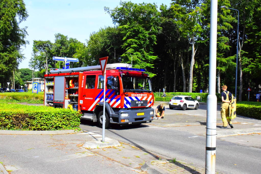 Auto flinke beschadigd door omgevallen boom