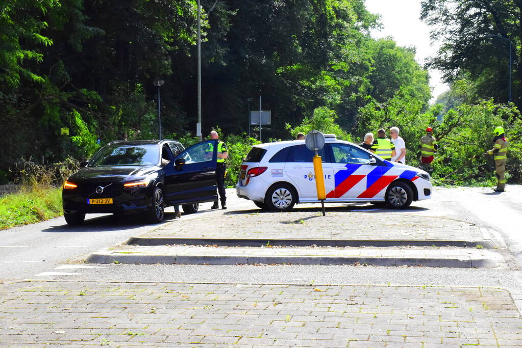 Auto flinke beschadigd door omgevallen boom