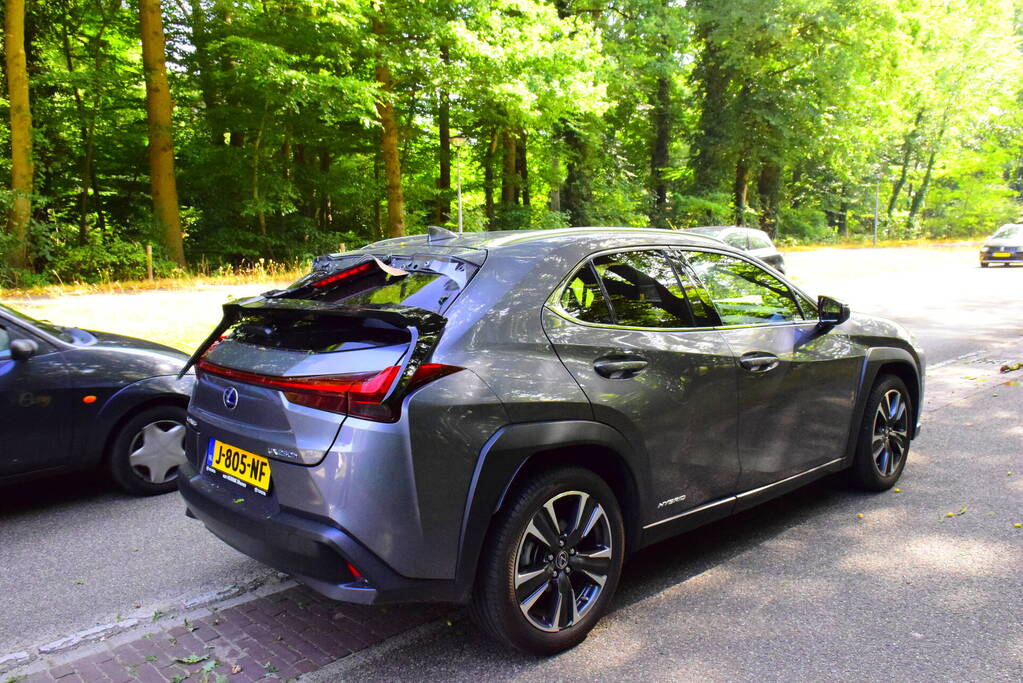 Auto flinke beschadigd door omgevallen boom