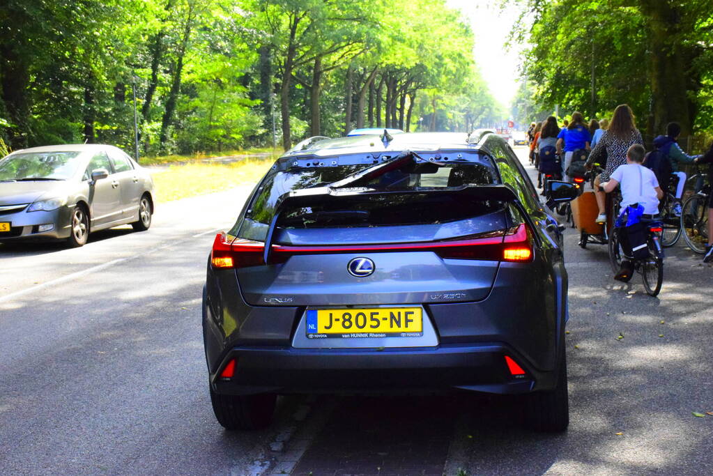 Auto flinke beschadigd door omgevallen boom
