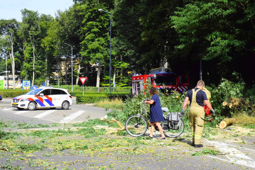 Auto flinke beschadigd door omgevallen boom