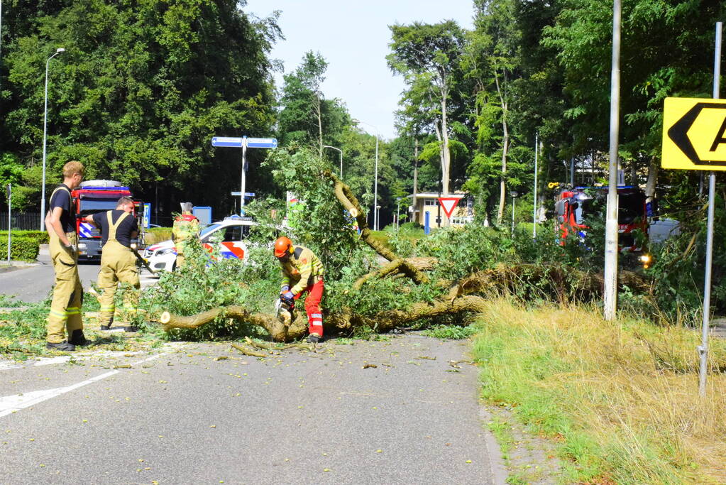 Auto flinke beschadigd door omgevallen boom