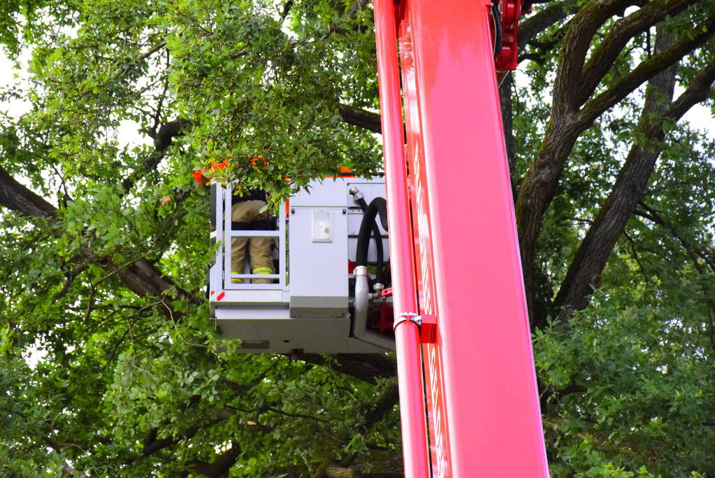 Brandweer ingezet voor gevaarlijk hangende tak