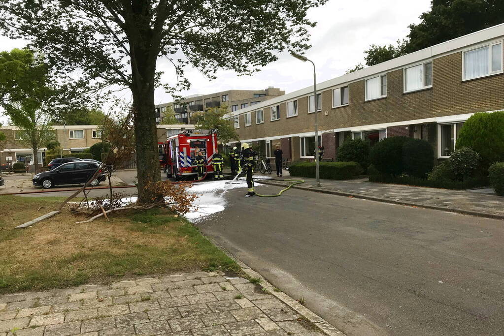 Kat gewond bij woningbrand