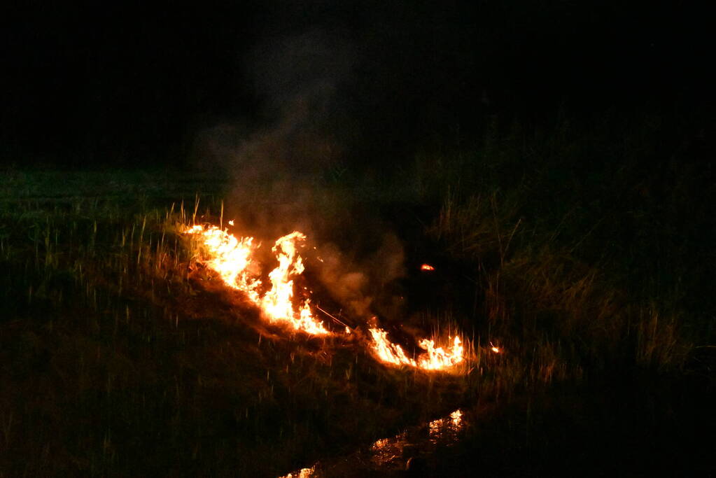 Bermbrand snel onder controle