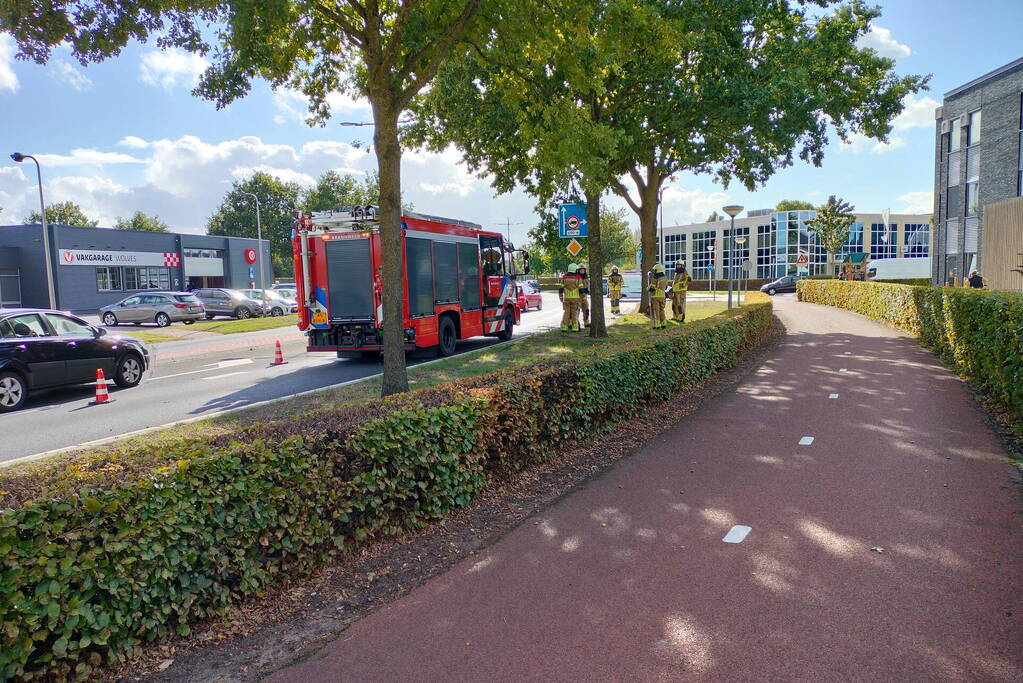 Brandweer verwijdert loshangende tak