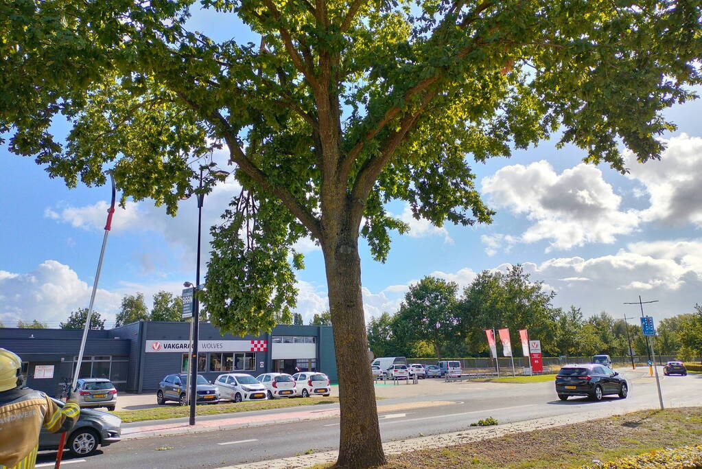 Brandweer verwijdert loshangende tak
