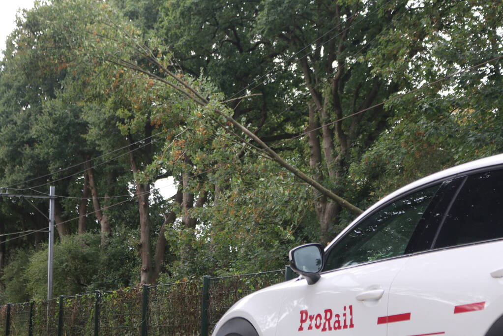 Boom valt op bovenleiding van treinspoor