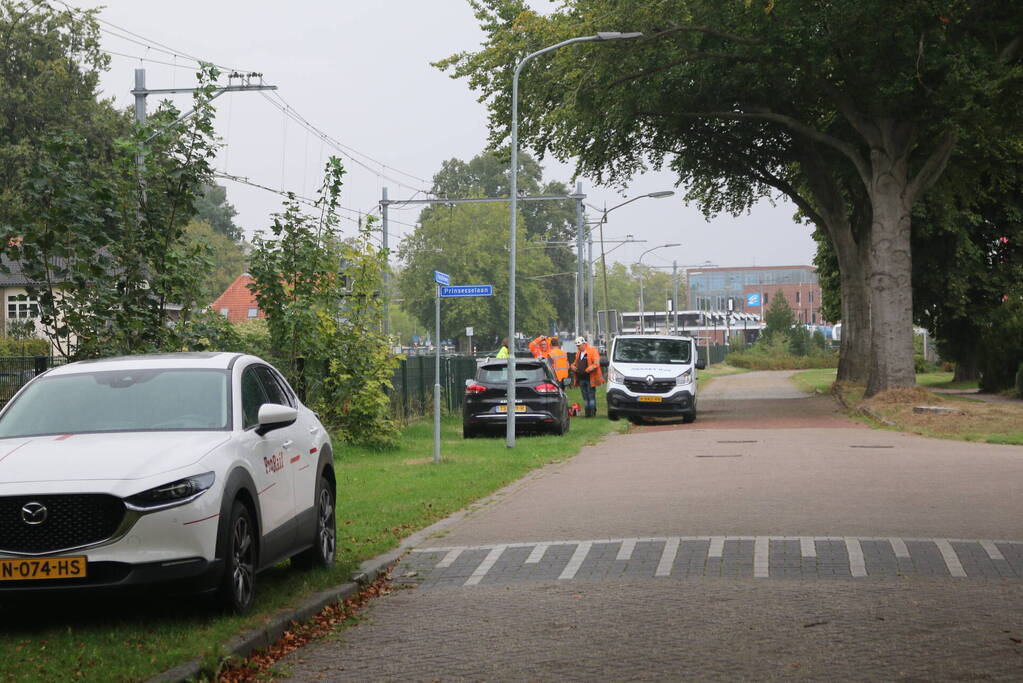 Boom valt op bovenleiding van treinspoor