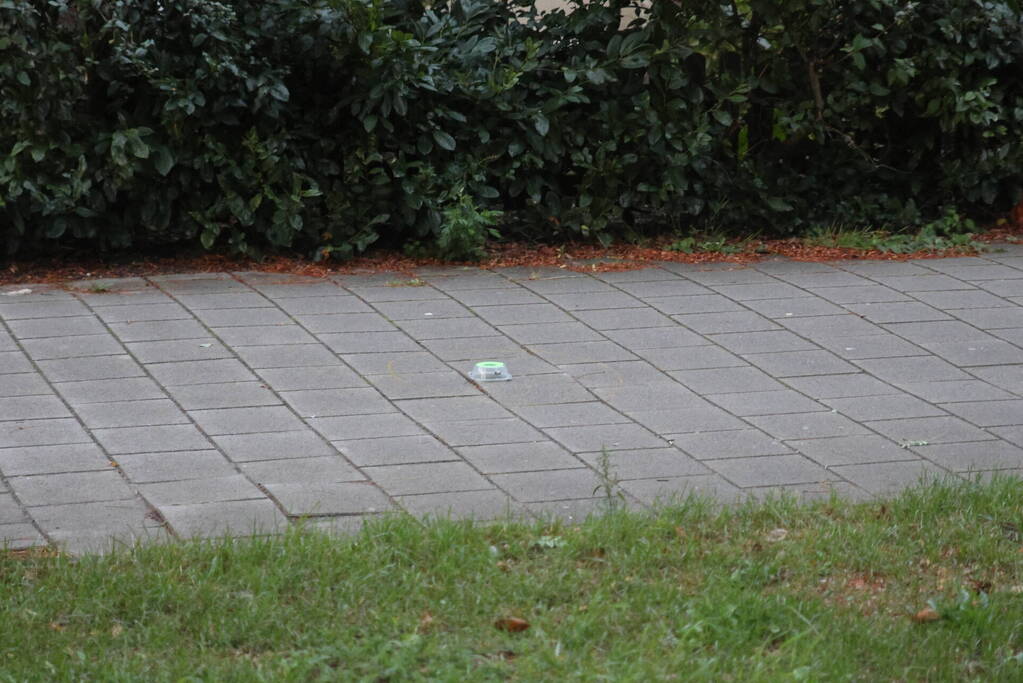 Schoten gelost op raam van woning