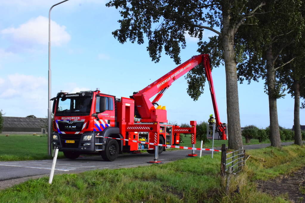Brandweer ingezet voor loshangende tak