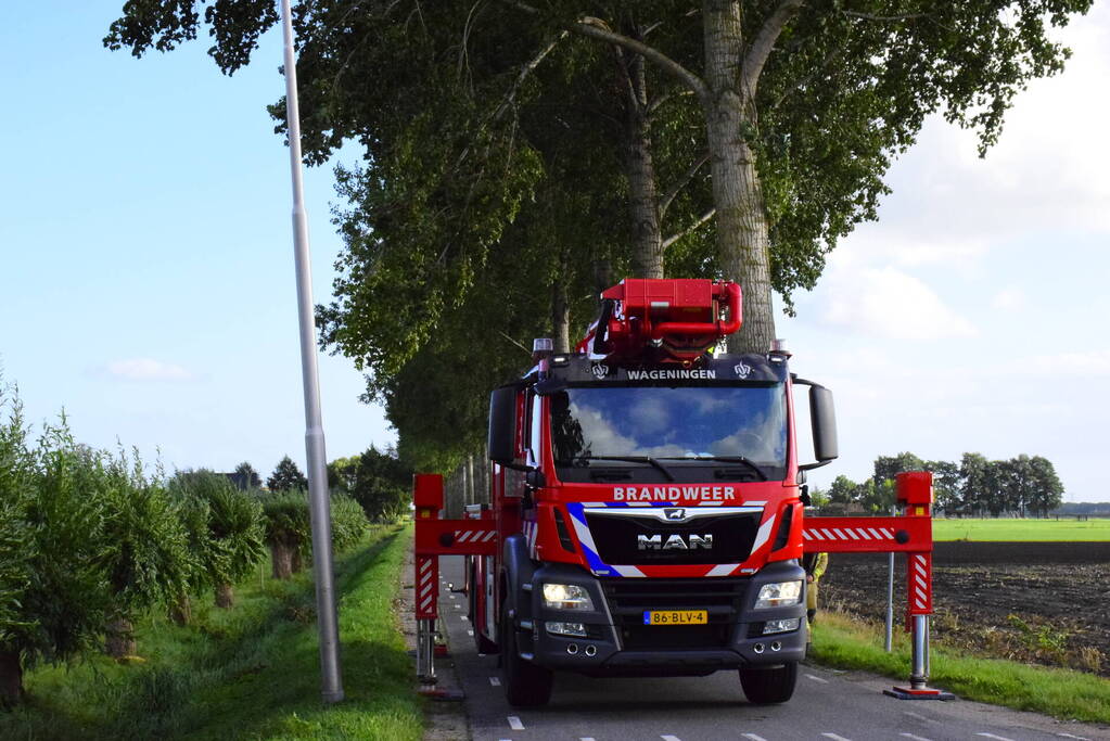Brandweer ingezet voor loshangende tak
