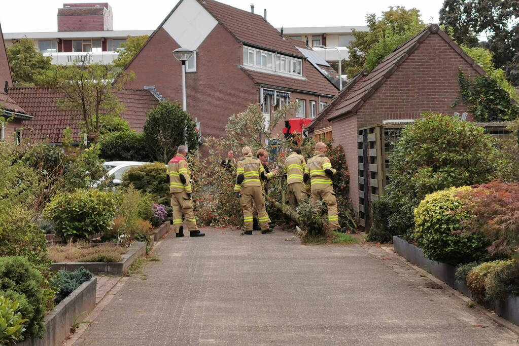 Boom waait tegen schuur