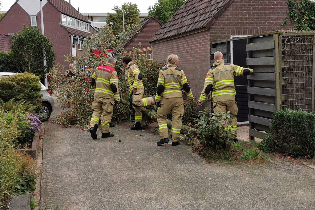 Boom waait tegen schuur