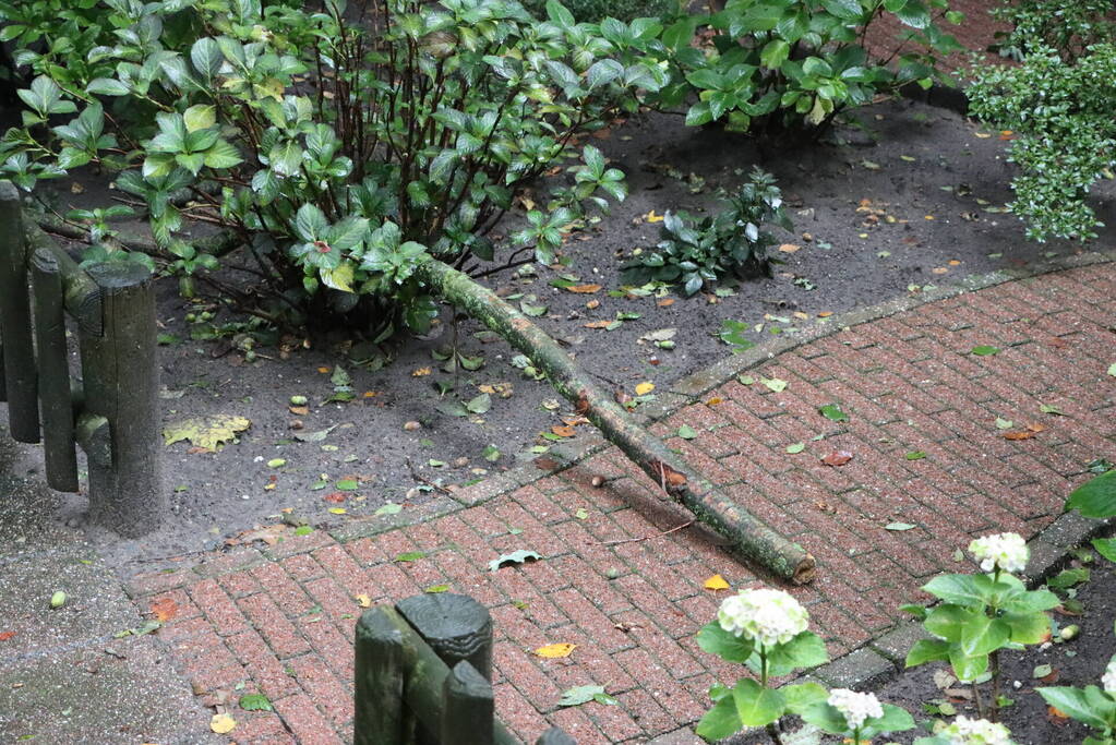 Gebied afgezet wegens stormschade