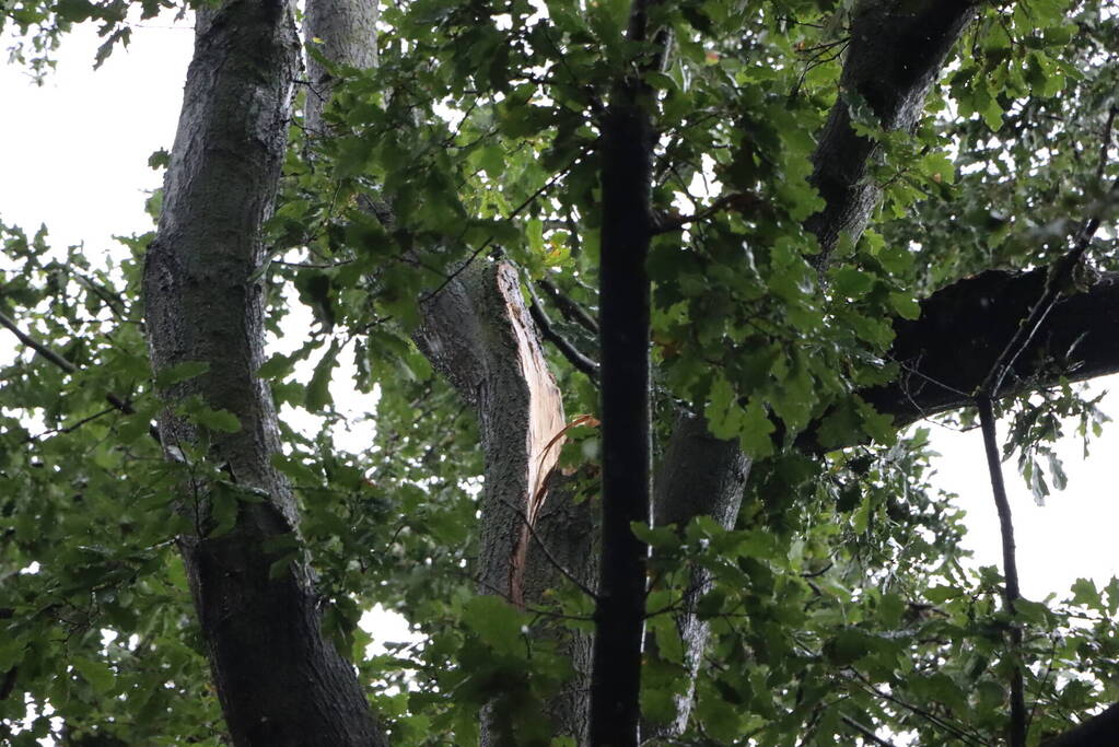 Gebied afgezet wegens stormschade